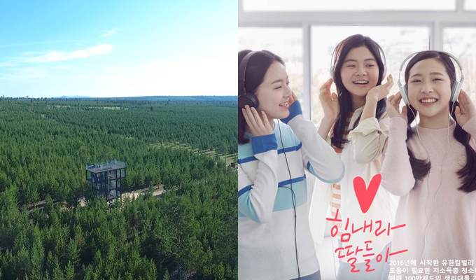 몽골 유한킴벌리숲 전경, 힘내라 딸들아 생리대 기부 캠페인 몽골 유한킴벌리숲 전경, 힘내라 딸들아 생리대 기부 캠페인